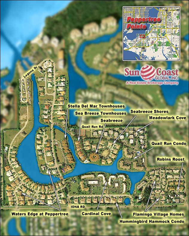 Peppertree Pointe Overhead Map